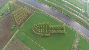 green structure almere