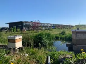 oosterwold architecture tour